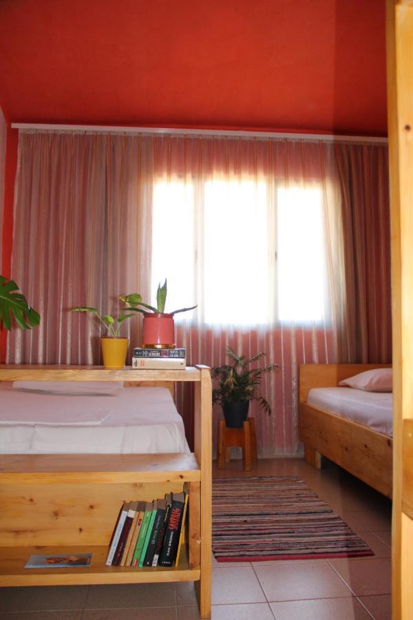Cozy Big Apartment With Balcony Tiranë Ngoại thất bức ảnh